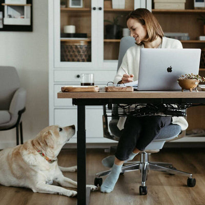 Upside Sit-to-Stand Desk Base
