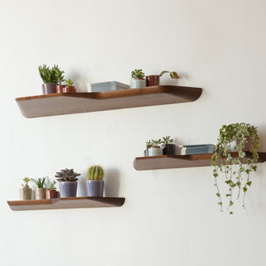 BuzziPlank in lifestyle shot