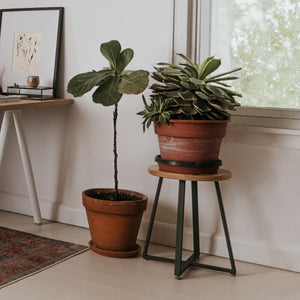 Elements 18" Stool in lifestyle shot