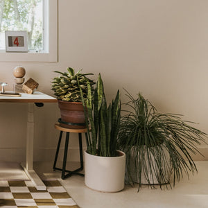 Elements 18" Stool in lifestyle shot