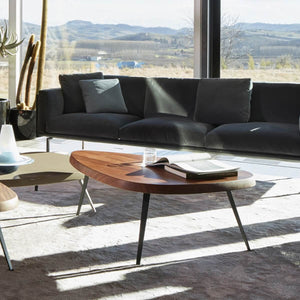 Mexique Coffee Table in lifestyle shot