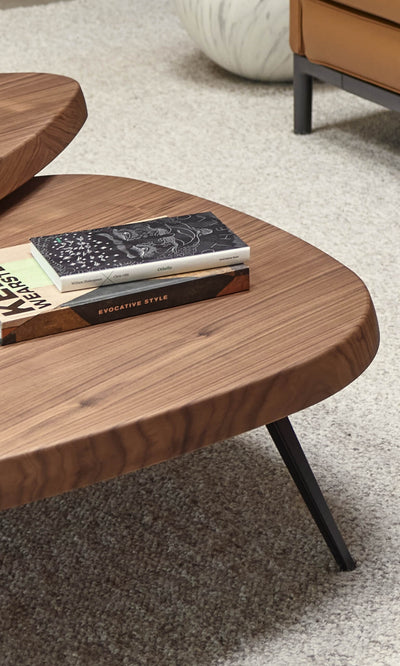 Mexique Coffee Table in lifestyle shot