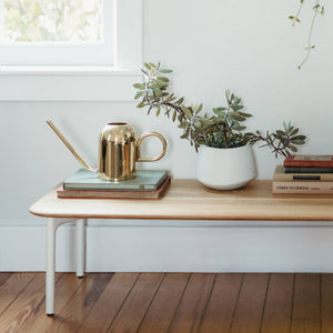 Sprig Coffee Table in lifestyle shot
