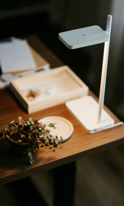 Talia Table Light in lifestyle shot